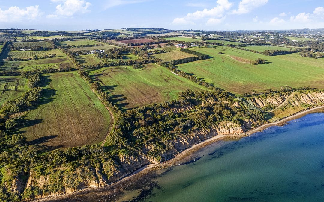 Microflite Helicopter. Wine Tasting & Lunch